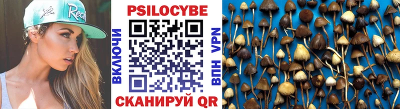 Купить где Изобильный Псилоцибиновые грибы Psilocybe